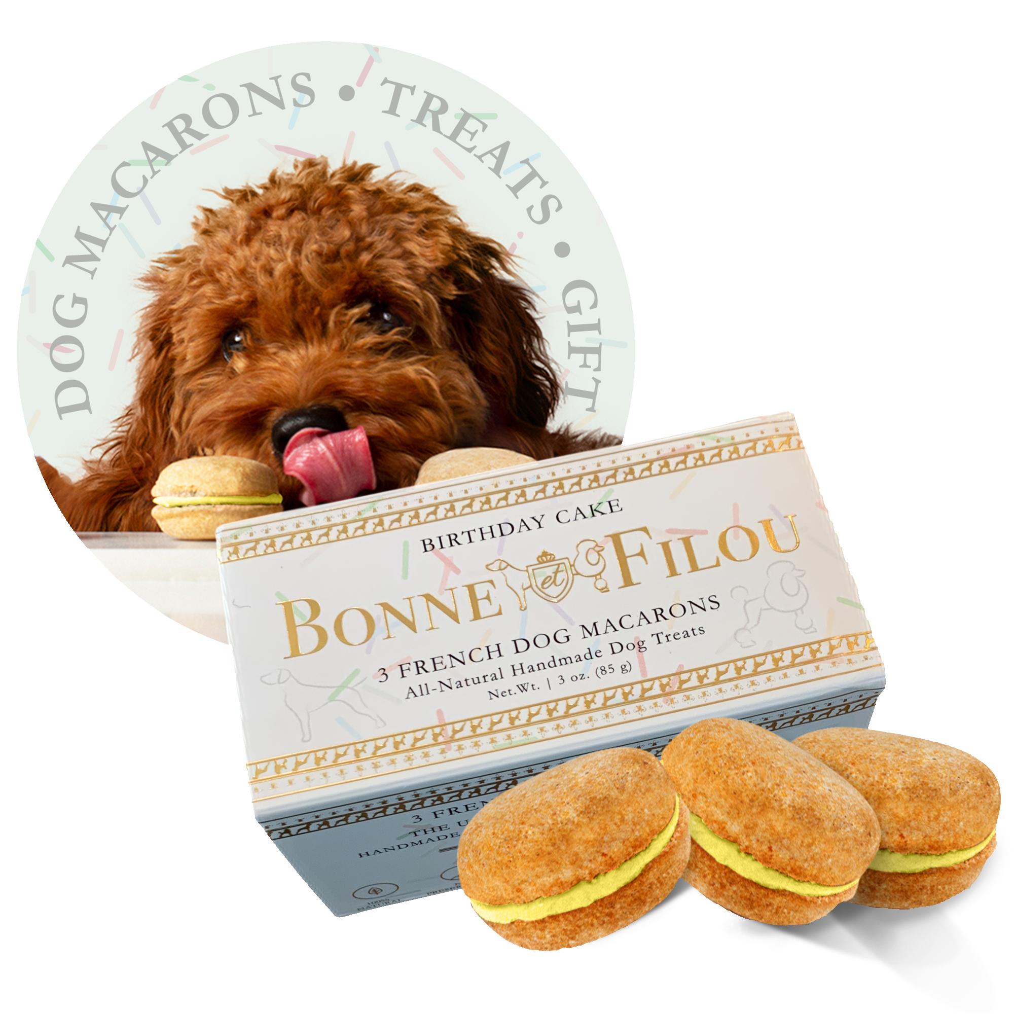 Dog Macarons (Box of 3) by Bonne et Filou