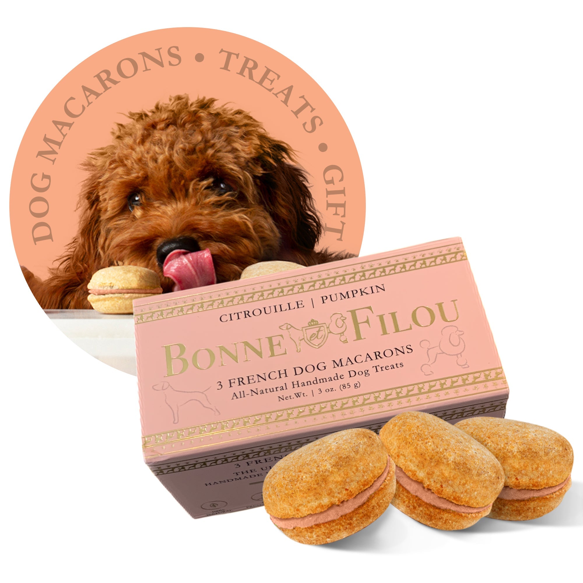 Dog Macarons (Box of 3) by Bonne et Filou