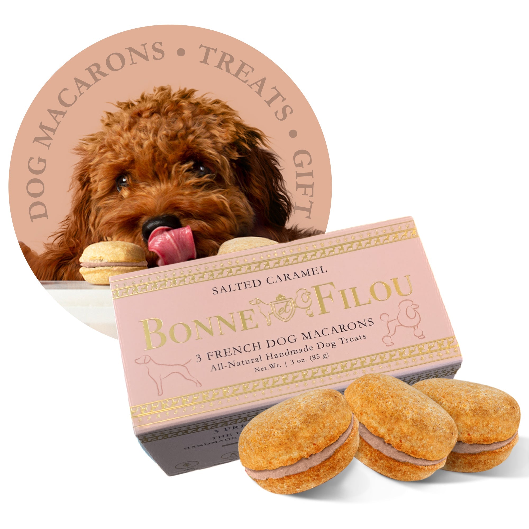 Dog Macarons (Box of 3) by Bonne et Filou