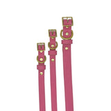 Plain Leather Dog Collar by Bonne et Filou