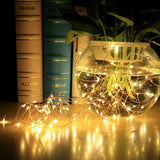 Mini Fiery 100 Lights Shine Like Firebugs With Solar Power 2/ Pak by VistaShops