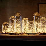 Mini Fiery 100 Lights Shine Like Firebugs With Solar Power 2/ Pak by VistaShops