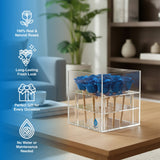 9 Preserved Roses in Acrylic Box: 100% Real Natural Roses That Last Over 1 Year