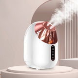 Pure Mist Ionic Facial Steamer