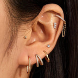 14K Gold Essential Oval Huggie Hoops by eklexic