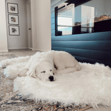 PupRug by Paw.com™ Faux Fur Orthopedic Dog Bed - Curve Polar White