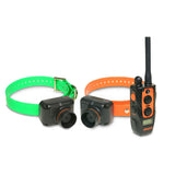 Training & Beeper Collar