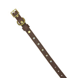 Plain Leather Dog Collar by Bonne et Filou