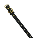 Plain Leather Dog Collar by Bonne et Filou