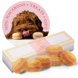 Dog Macarons (Box of 6) by Bonne et Filou