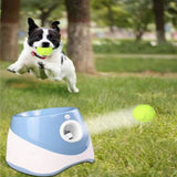 Go Fetch Fun and Games for Your Dog