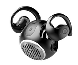 New-Age Wireless Ball Dual-Mode Earbuds and Speaker With Portable Charging Case