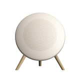 Echo Spear Bluetooth Speaker With Built-in Wireless Subwoofer