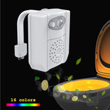 CLEAN BOWL UV Sanitizing Light For Germ Free Toilets With LED Motion Light by VistaShops