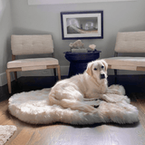 PupRug by Paw.com™ Faux Fur Orthopedic Dog Bed - Curve White with Brown Accents