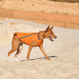 Sustainable Eco-Friendly Dog Jacket / Vest - Made in Ukraine by Bonne et Filou