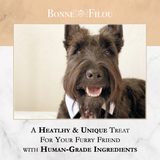 Dog Macarons (Box of 3) by Bonne et Filou