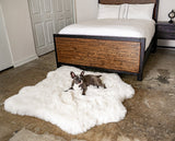 PupRug™ Animal Print Memory Foam Dog Bed - Polar Bear Faux Hide