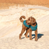 Sustainable Eco-Friendly Dog Jacket / Vest - Made in Ukraine by Bonne et Filou