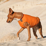 Sustainable Eco-Friendly Dog Jacket / Vest - Made in Ukraine by Bonne et Filou