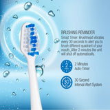 Electric Movement Rechargeable Electric Toothbrush