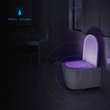 CLEAN BOWL UV Sanitizing Light For Germ Free Toilets With LED Motion Light by VistaShops