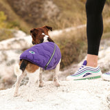 Sustainable Eco-Friendly Dog Jacket / Vest - Made in Ukraine by Bonne et Filou