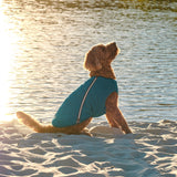 Sustainable Eco-Friendly Dog Jacket / Vest - Made in Ukraine by Bonne et Filou