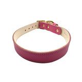 Plain Leather Dog Collar by Bonne et Filou