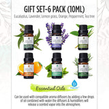 FlameGlow Aromatherapy Diffuser, Pursonic 6-Pack Essential Oils & Portable 360° Hi-Res Wireless Speaker