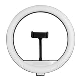Supersonic PRO Live Stream 14” Floor Ring Light with RGB (SC-2430RGB)