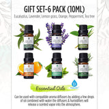 3-in-1 Salt Diffuser & 6 Pack Essential Oil Set