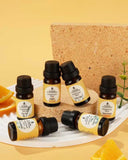 Pet-Friendly Aromatherapy Essential Oils Collection - Cedarwood, Chamomile, Frankincense, Ginger, Lavender, and Rosemary by Pursonic