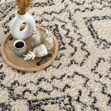 Buan Plush Area Rug