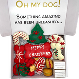 Christmas Themed Dog Treats Gift Box by Bonne et Filou