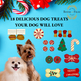 Christmas Themed Dog Treats Gift Box by Bonne et Filou