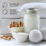 Travel Laundry Essentials Set: Garment Steamer, Mini Iron, Eco-Friendly Laundry Sheets, and Wool Dryer Balls by Pursonic