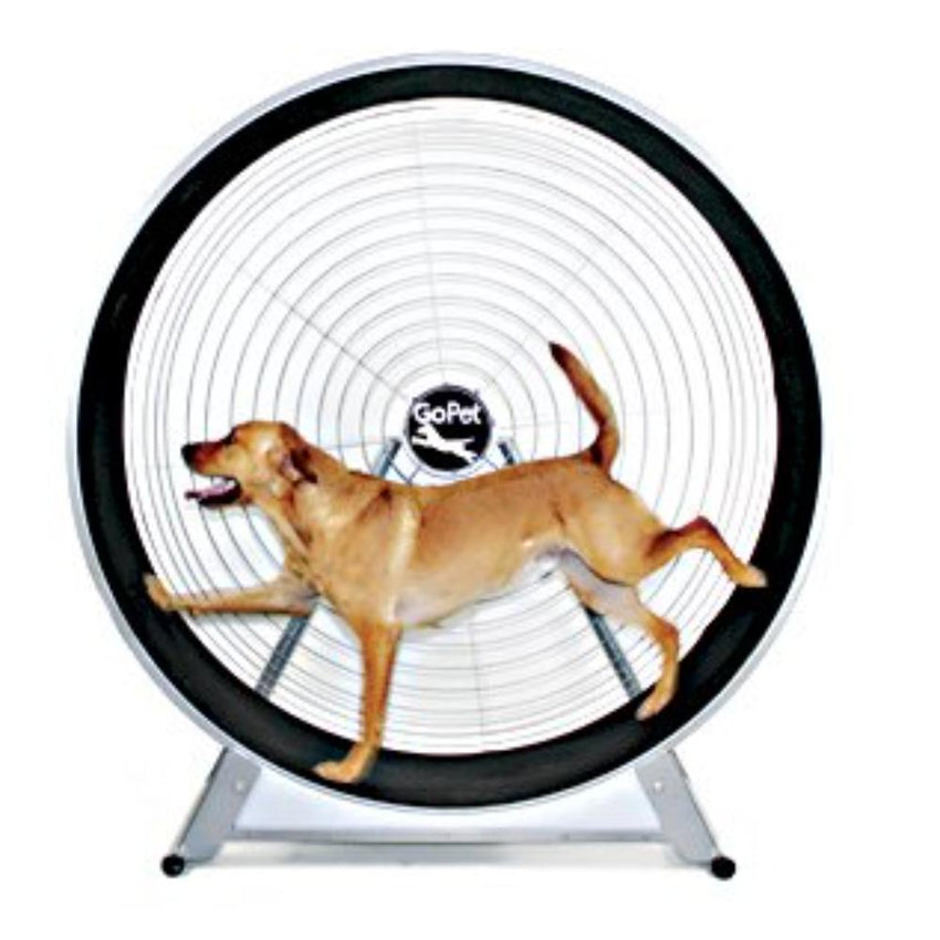 GoPet TreadWheel For Dogs