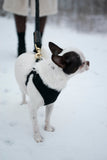 Rope Leash for Dogs (Standalone) by Bonne et Filou