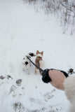 Shearling Fur Grip (Standalone) by Bonne et Filou