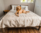 PupProtector™ Short Fur Waterproof Throw Blanket - White with Brown Accents