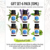 6 Pack of 100% Pure Essential Aromatherapy Oils by Pursonic