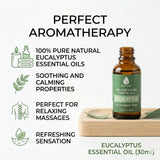 100% Pure & Natural Eucalyptus Essential Oils