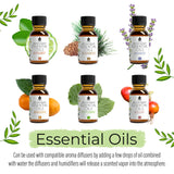 Aromatherapy Essential Oils 14-Pack Gift Set by Pursonic