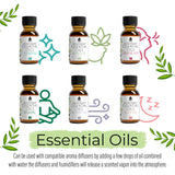Pursonic Aromatherapy Lovers – Triple 14-Pack Essential Oils Collection by Pursonic