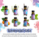 Pursonic Aromatherapy Lovers – Triple 14-Pack Essential Oils Collection by Pursonic