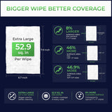12 Pack of Flushable Man Wipes (1200 Mint Scented Wipes)