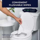12 Pack of Flushable Man Wipes (1200 Mint Scented Wipes)