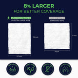 12 Pack of Flushable Man Wipes (1200 Mint Scented Wipes)