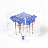 9 Preserved Roses in Acrylic Box: 100% Real Natural Roses That Last Over 1 Year